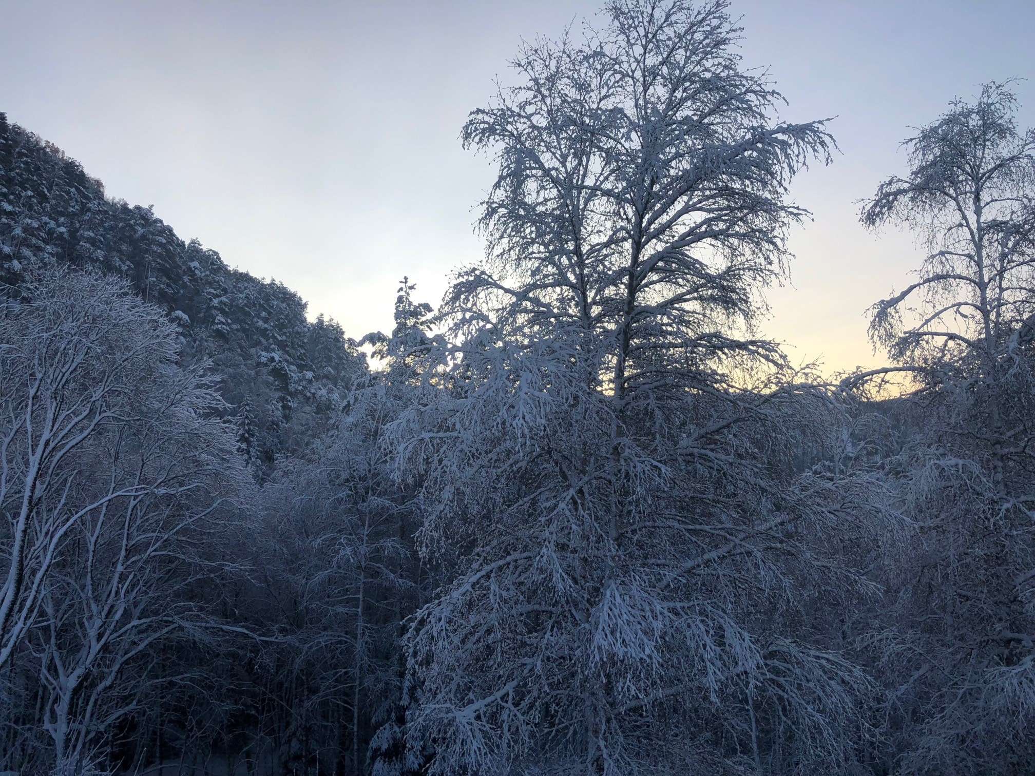 Avlyst o-løp 2. juledag